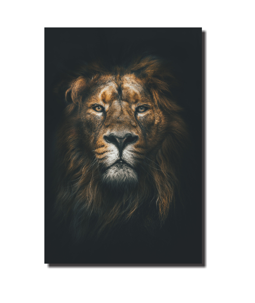Cuadro Rey León