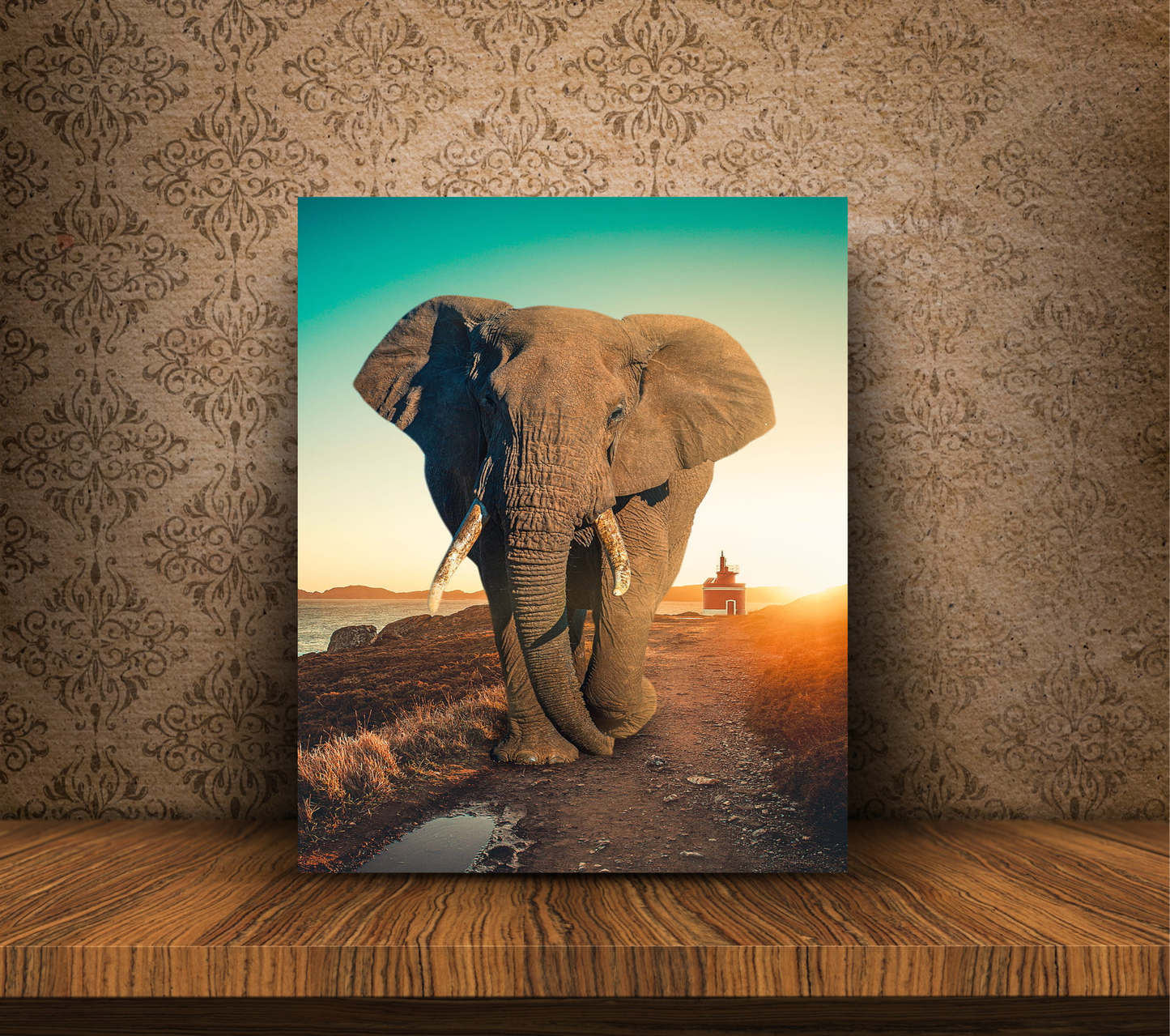 Cuadro Elefante
