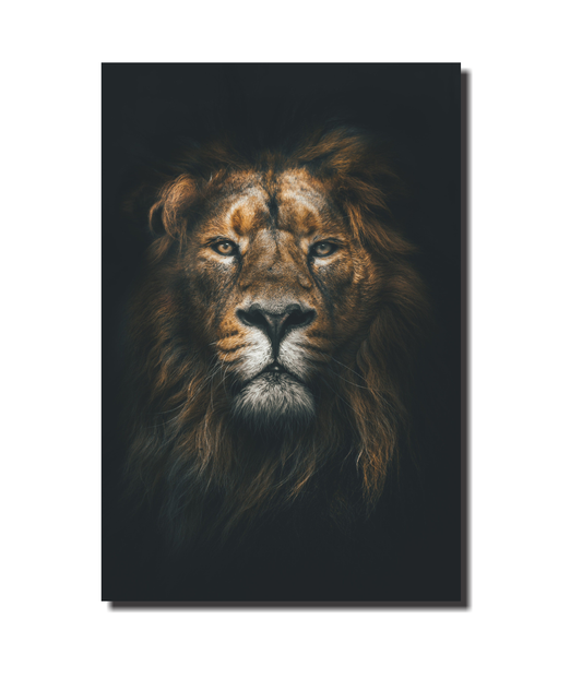 Cuadro Rey León