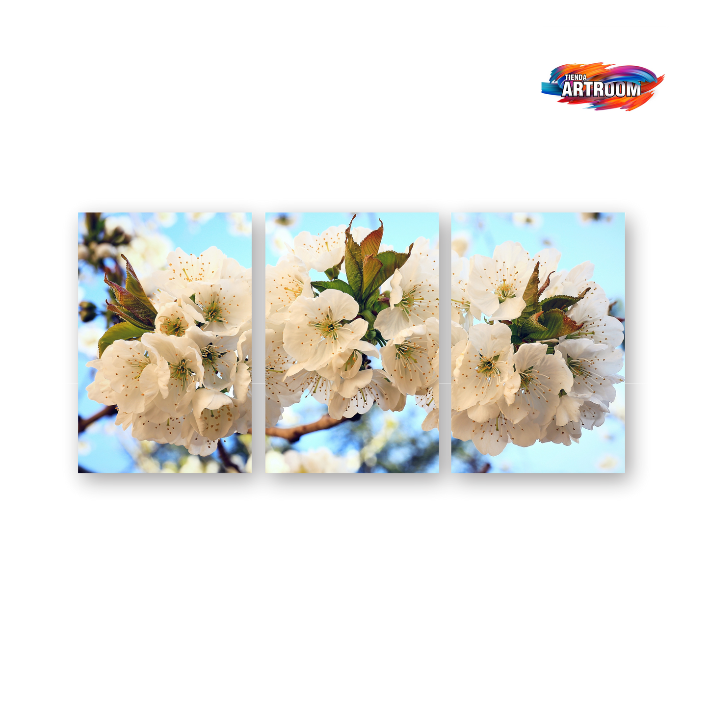 Cuadro Decorativo Flores SET x3