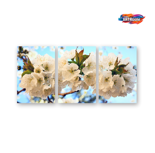 Cuadro Decorativo Flores SET x3