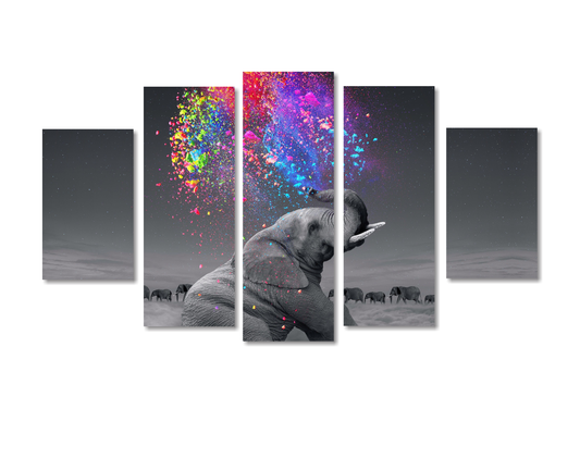 Cuadro Elefante Colores SET X5