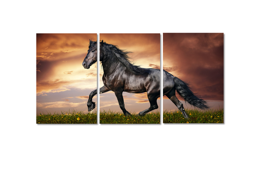 Cuadro Caballo SET X3