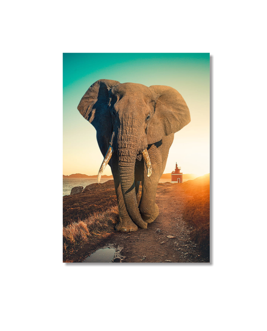Cuadro Elefante