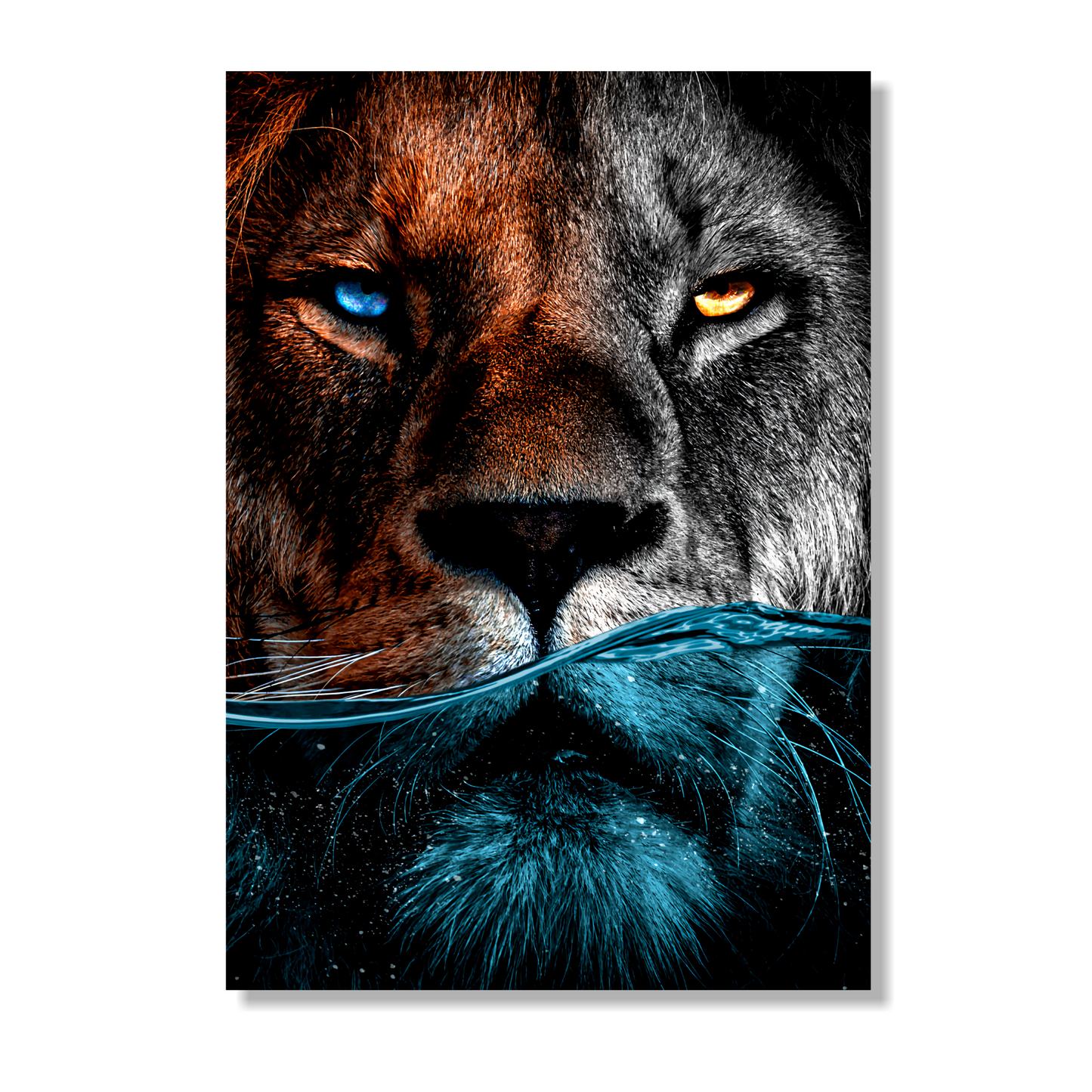 Cuadro León Agua