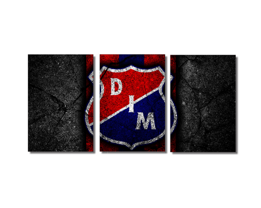 Cuadro Medellín SET X3