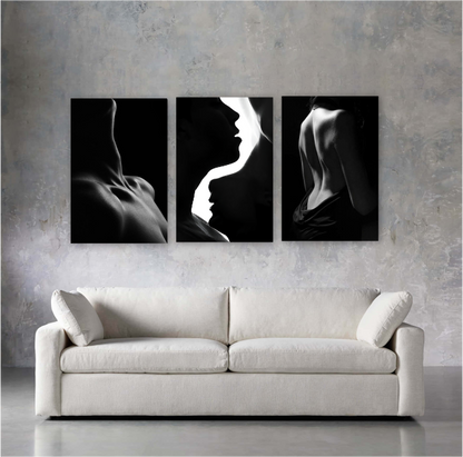 Cuadro Sensual Blanco & Negro SET X3