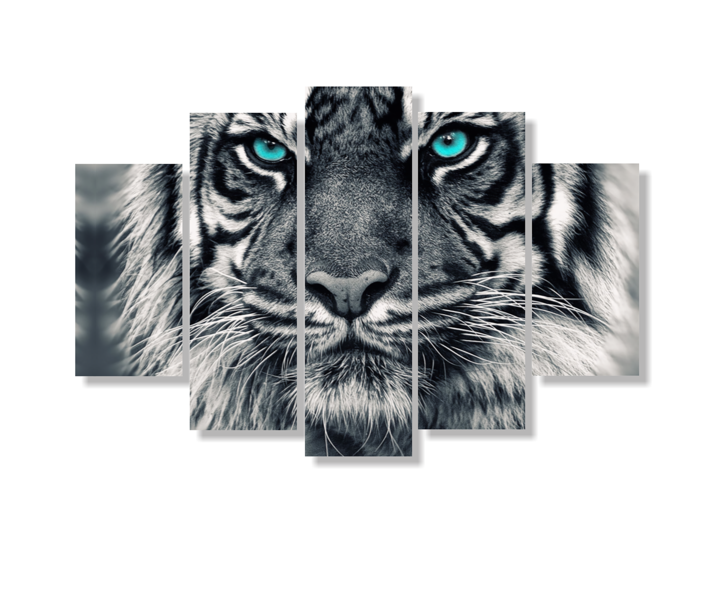 Cuadro Tigre SET X5