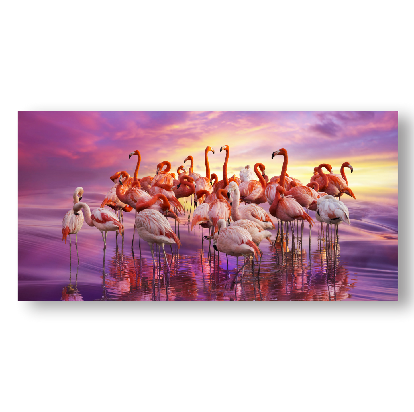 Cuadro Grupo De Flamencos